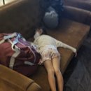 올림피아병원 이미지