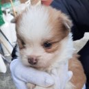 첨단산단로 이미지