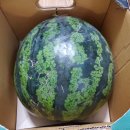 번창유통