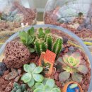 농업기술센터 본관 이미지