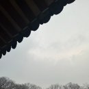 보물찾기구제 - 성남시 수정구 시민로 144-1 | 보물찾기구제
