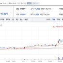 나무비전