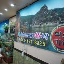 박쏘가리 이미지