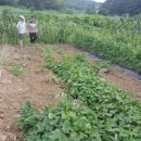 주민농장 이미지