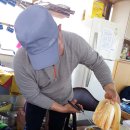 금구농장 이미지