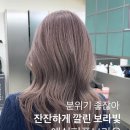 아브뉴프랑 퍼플 네이버블로그