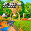 순천만국가정원 에코지오카페 | 순천만국가정원 6월 수국 위치 캔들라이트 야간 행사 및 두다하우스 후기