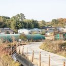 먹거리마을분식 이미지