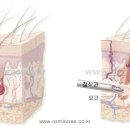 정다운개발 이미지