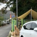 비비아나 펜션 이미지