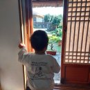 쉬고팡 민박 | 제주스러운 전통초가펜션 '쉬고팡'에서 힐링해요