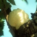 노루농장 이미지