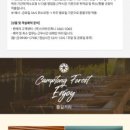 캠프통포레스트씨그라운드