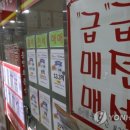 동월부동산공인중개사사무소 이미지