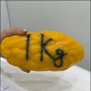 광교산한의원 | 영통 다이어트, 나에게 맞는 건강 습관 완성 더마름다이어트 수원영통역점