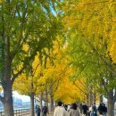 충남목장 이미지