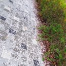 20180409 정신없고도 피곤했던 일주일. 별거없는 일상