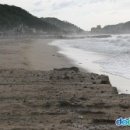 울진군후포면후포보건진료소 이미지