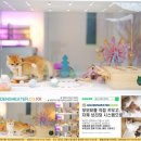 그루밍캐터리 이미지