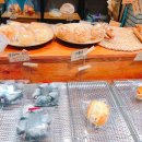 빵굽는곰 이미지