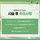 아그네스 이미지