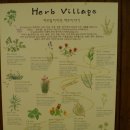 허브빌리지(Herb village) 이미지