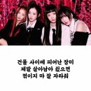 장미꽃사이로 이미지