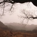 와룡리마을길 이미지