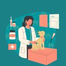 헬릭스동물심장수술센터 | 서울 중구 신당동, 황학동, 묵정동 등 동물병원 현황 알아보기!