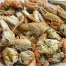 구룡포회 이미지