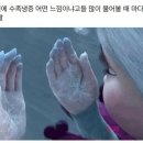 수족발 - 강서구 곰달래로49길 18 | 수족발