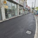 대선월드피아 이미지