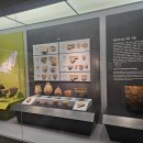 범방동 패총 이미지