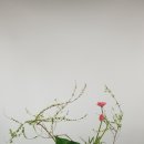한국원예교육개발원자연.꽃.예술원