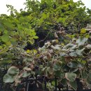 지나경로당 이미지