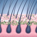 에버그린의원 이미지