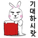 마스터 홍 태권도 이미지