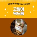 아이맘동물의료센터 이미지