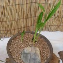 동의중학교 이미지