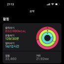 오삼일일 이미지