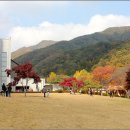 배론성지 이미지