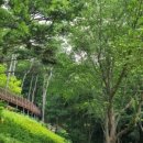 황산도 옛길 테마거리 이미지