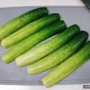 자연마중 이미지
