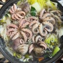 제철 알배기 쭈꾸미 샤브샤브 맛집 조아회조아 상동횟집