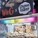 대빵게임장 명동밀리오레점 이미지