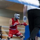 복싱1997 이미지