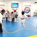 지금 용인대 국가대표 태권도장 이미지