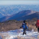 정선아리랑 조형물 이미지