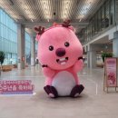 동구장애인복지관 | 2025장애인평생학습도시 &lt;도슨트에게 듣는 전시이야기&gt;