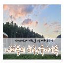 세양목장 | 금 1496일,793일 육아기록 : 초원닭갈비 / 이탈리아마을 / 가평레일바이크 / 양떼목장